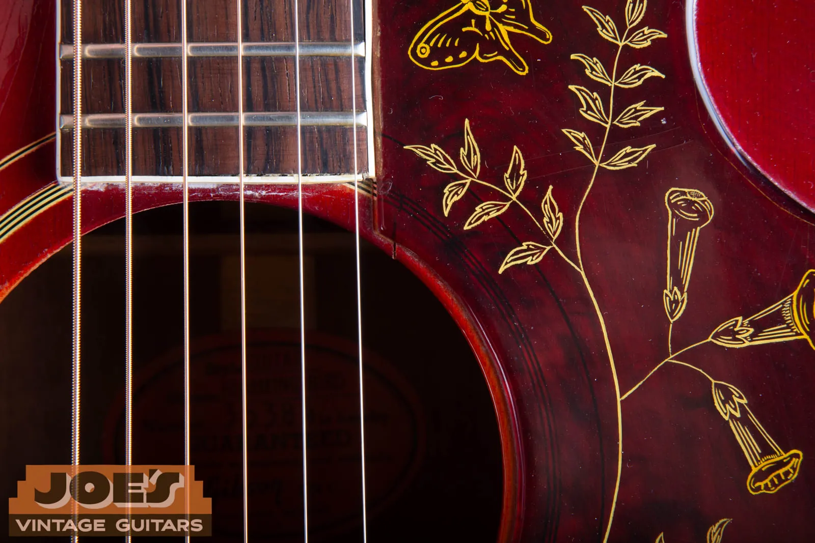Close up of the engraved pickguard on a 1961 Gibson Hummingbird showing the gold butterfly and trumpet flower vine on the red pickguard next to the bound rosewood fretboard.