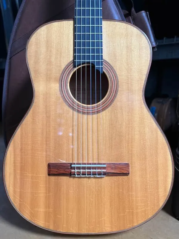 Levin Model 113 nylon-string acoustic with a patterned rosette and tie-block bridge