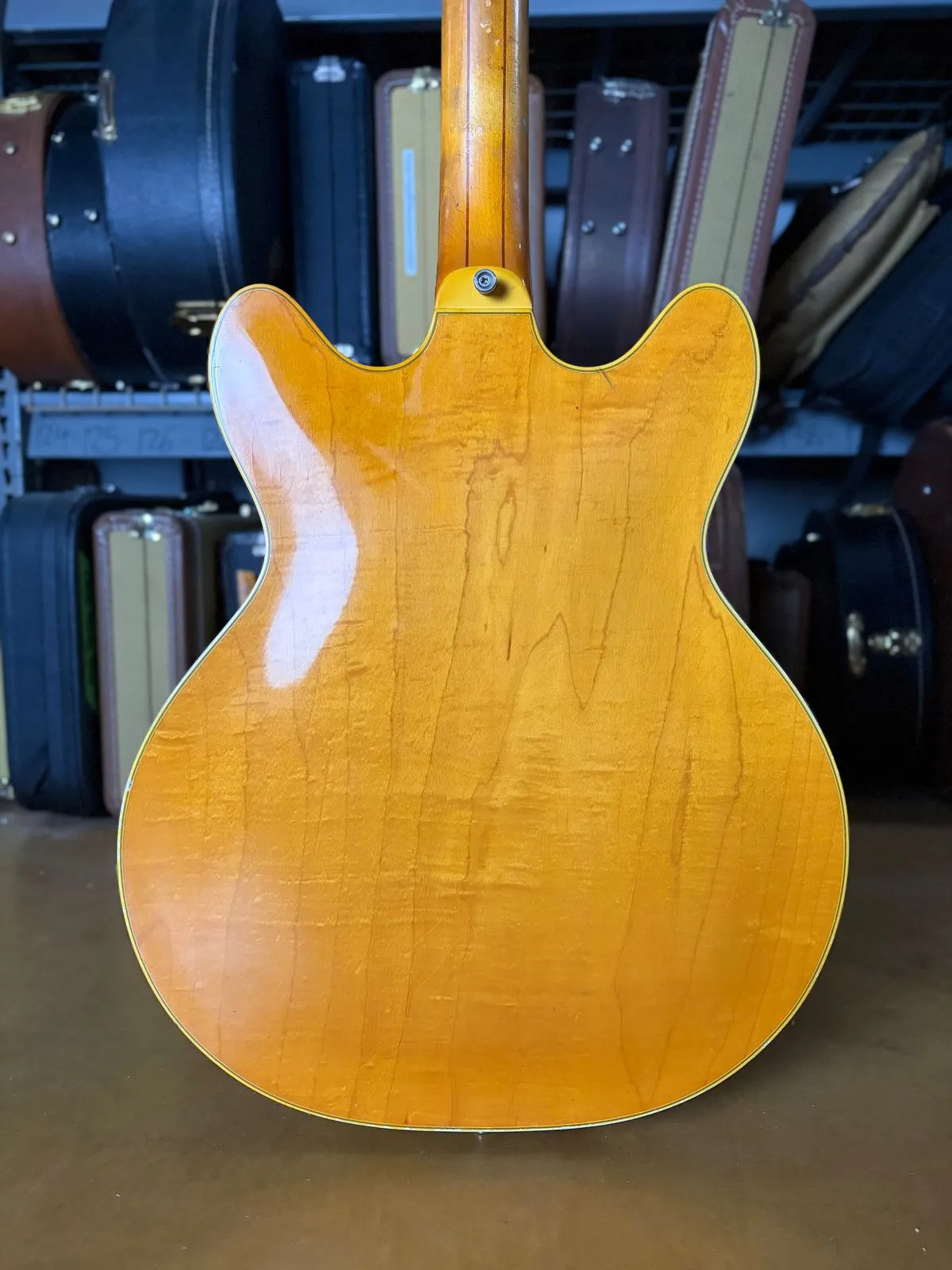 1977 Guild Starfire IV showing blonde back and neck joint