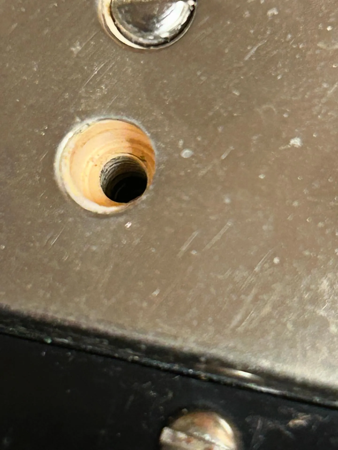 Close-up of a 1959 Gibson PAF humbucker with a pole piece screw removed to reveal the white bobbin