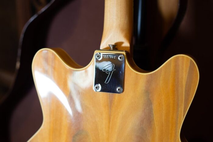 1967 Fender Coronado II Wildwood III - Image 5