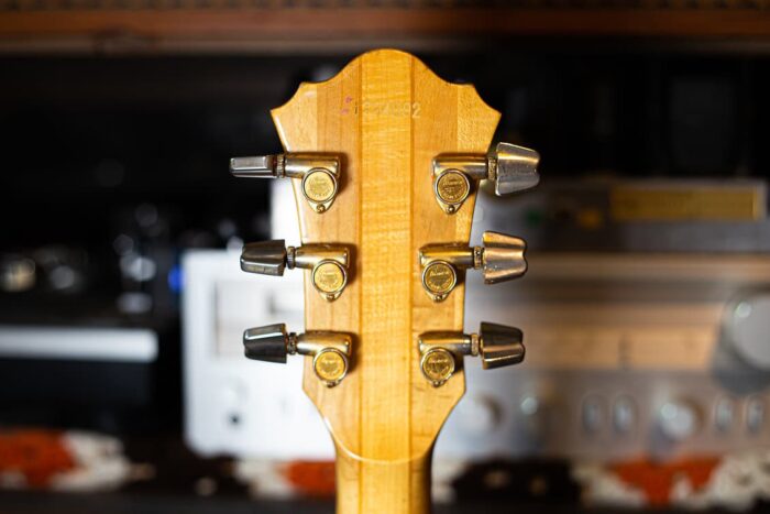 1979 Ibanez Musician MC300 - Image 2