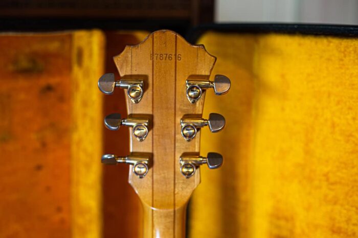 1970s Ibanez Musician - Image 8