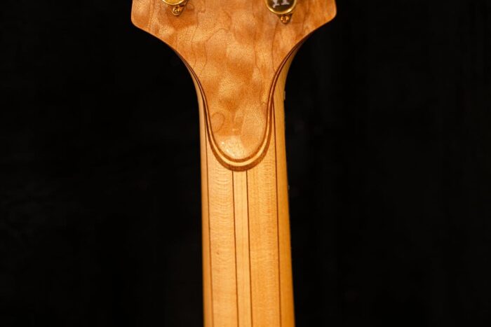 1997 Alembic Essence - Image 6