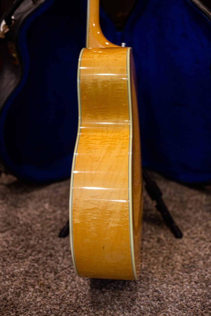 1976 Guild F50 - Image 6