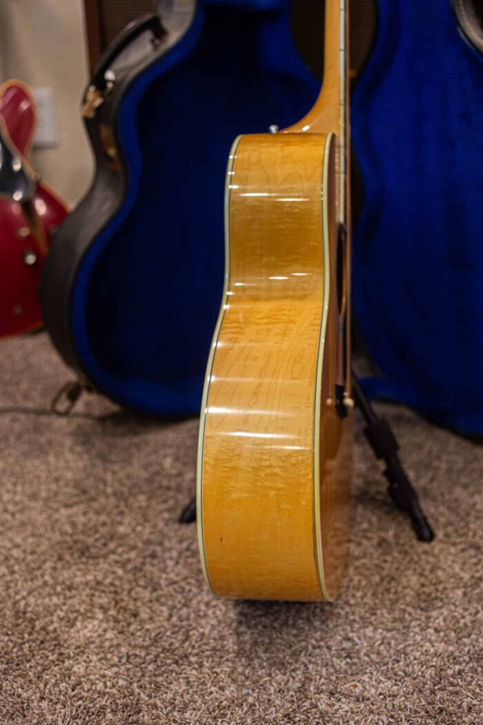 1976 Guild F50 - Image 3
