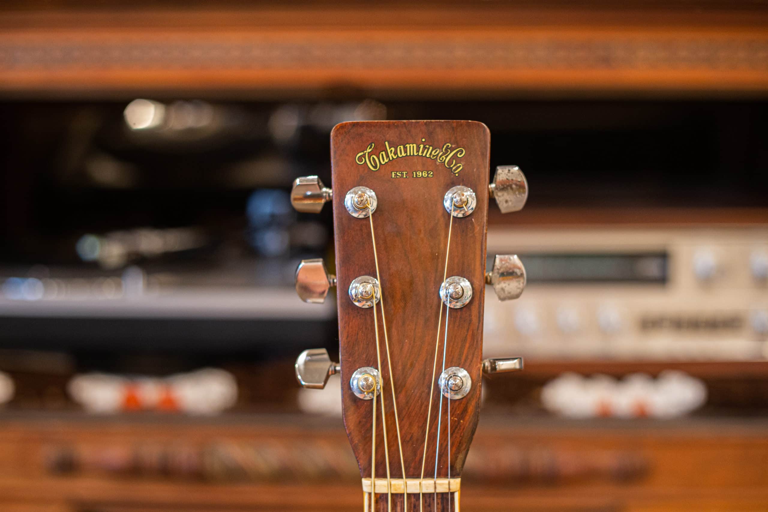 Takamine martin cheap