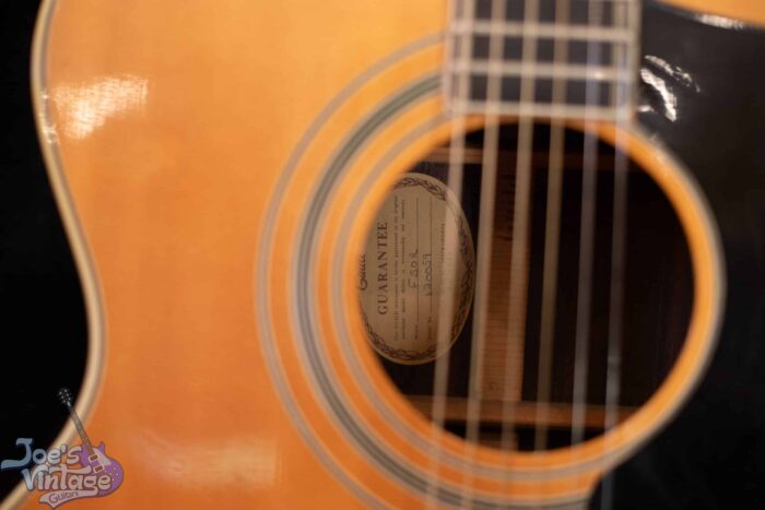 1975 Guild F50-R - Image 5