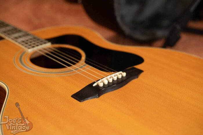 1975 Guild F50-R - Image 13