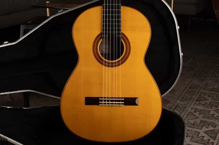 Francisco Navarro Garcia Flamenca Negra 2003 - Esteban Collection