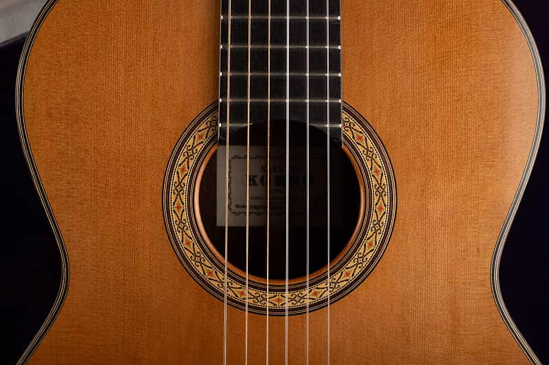 Mark leaf guitar case cheap