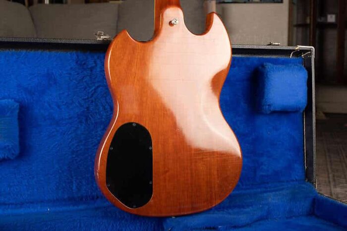 Guild S-100 1976 - Carved Nature Boy - Image 5
