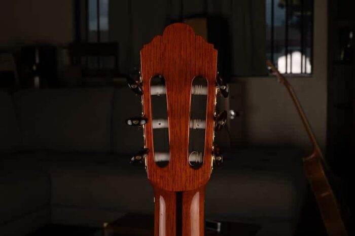 Francisco Navarro Garcia Flamenca Negra 2003 - Esteban Collection - Image 9