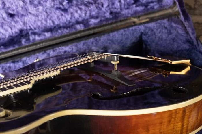 Bob White F-5 Mandolin 2012 - Sunburst - Image 6