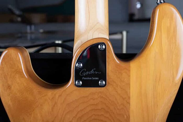 Godin Passion RG.3 2009 - FLAME Maple - Image 7