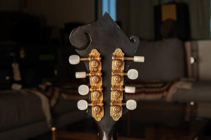 Bob White F-5 Mandolin 2012 - Sunburst - Image 13