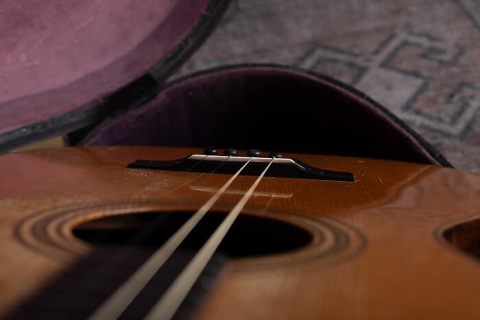 Martin 5-21T 1927 - Brazilian Rosewood - Image 13