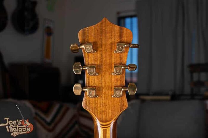 Alembic Series 1 1975 - Gorgeous and Clean - Image 7