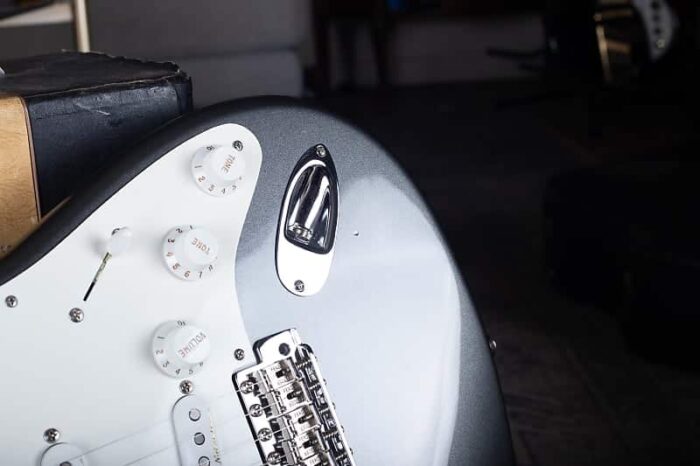 Fender Custom Shop Eric Clapton Stratocaster 2010 - RARE EC Grey - Image 12