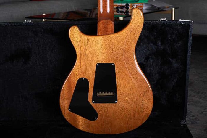 PRS Al Di Meola 2012 - Prism - Image 5