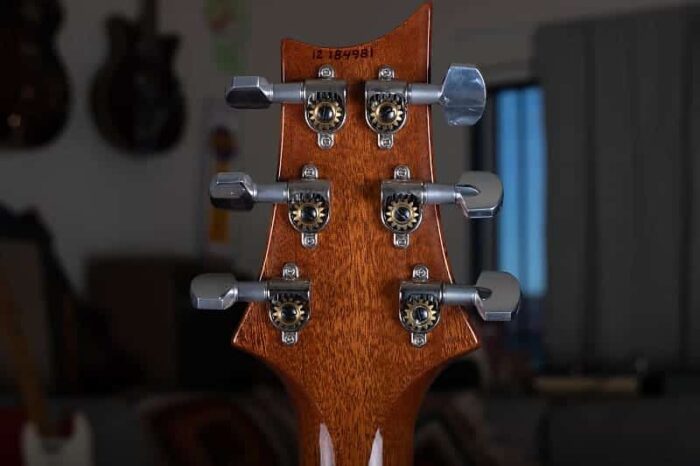 PRS Al Di Meola 2012 - Prism - Image 7