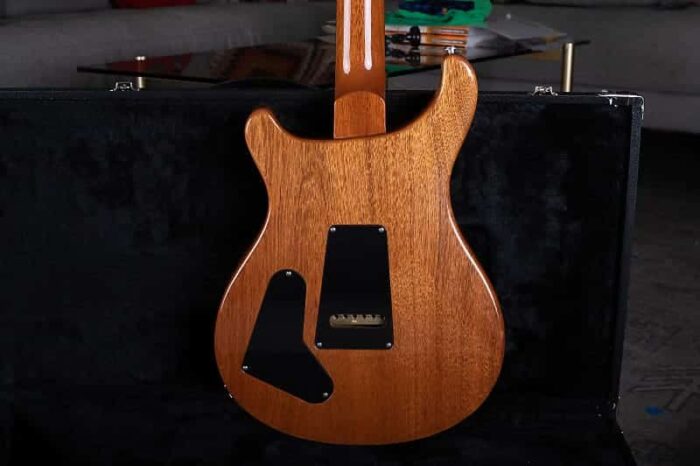 PRS Al Di Meola 2011 - Prism - Image 4