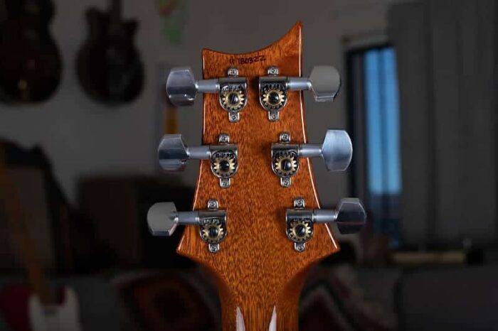 PRS Al Di Meola 2011 - Prism - Image 6