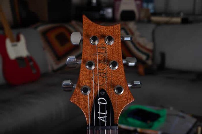 PRS Al Di Meola 2012 - Prism - Image 3
