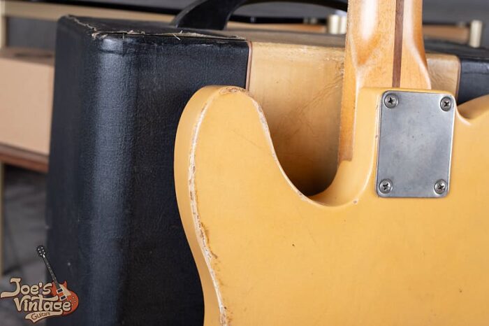 Danocaster Blackguard Single Cut - Blonde - Image 19