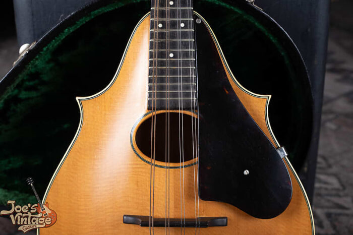Martin Style 20 1930s - Tortoise Overlay - Image 6