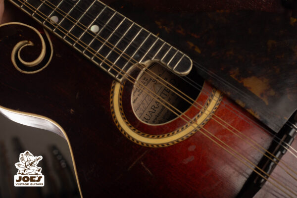 Gibson Guitar 