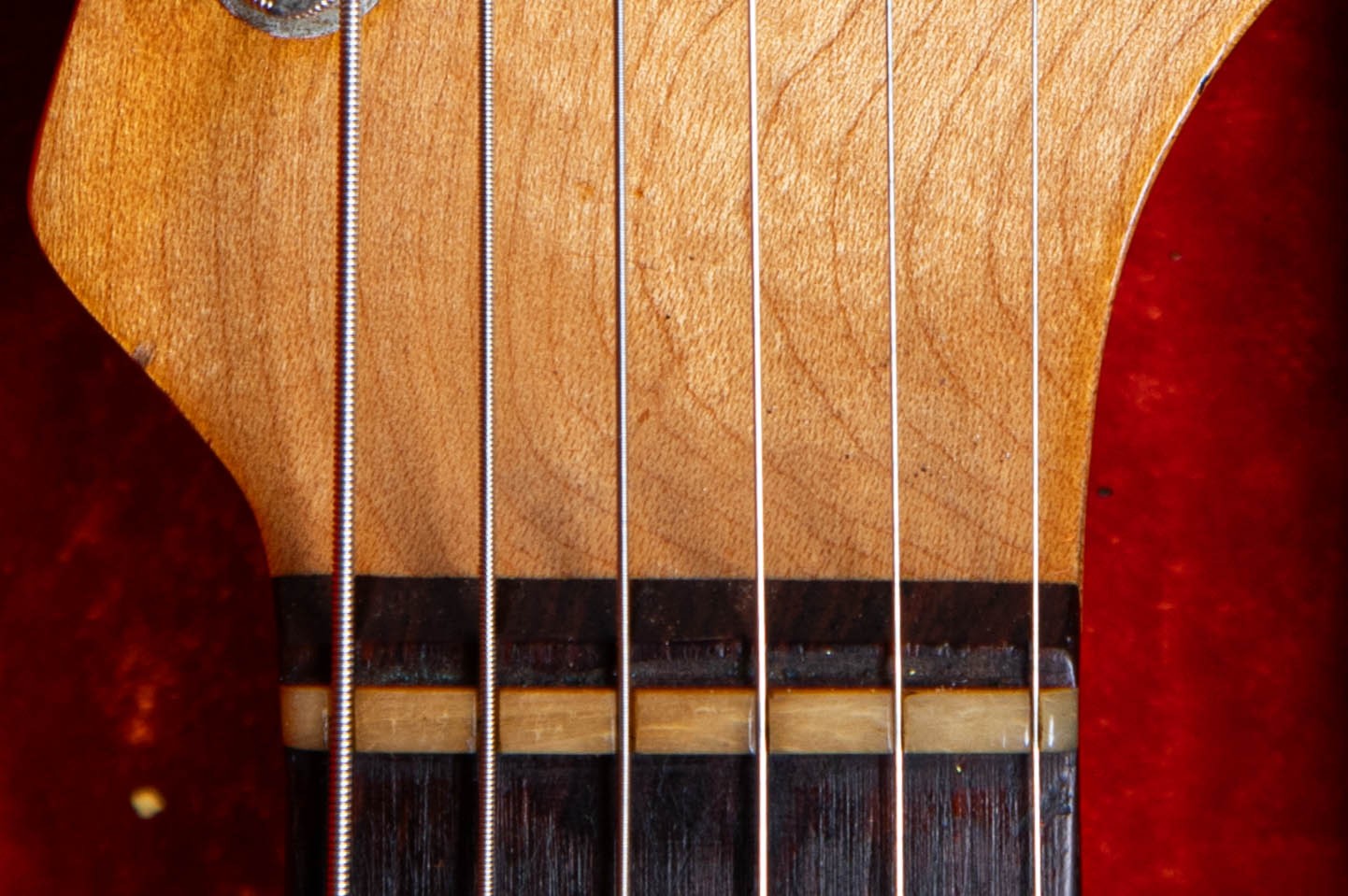 1962 Fender Stratocaster veneer rosewood fingerboard nut area — approximately 2mm thin curved-bottom board showing shallow rosewood depth at headstock end