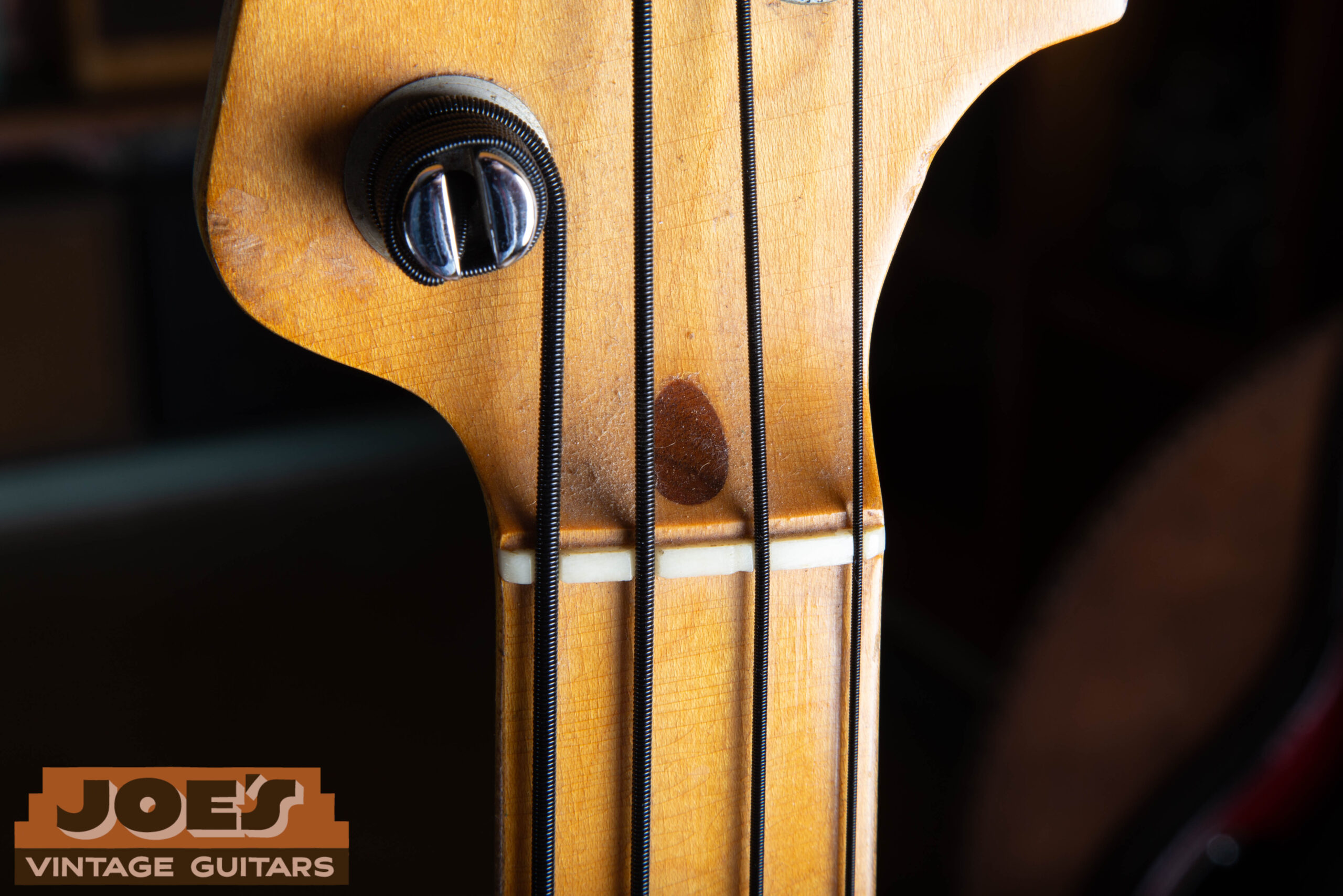 Walnut truss rod plug at the end of the neck on a 1959 Fender Precision Bass